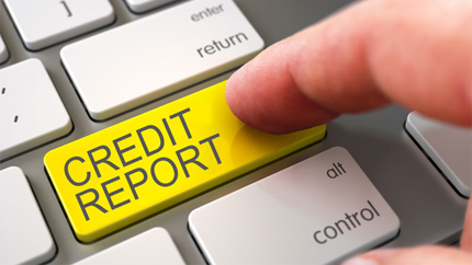 Credit Reports