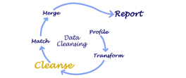 Data Cleansing