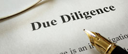Ultimate Beneficial Owner - User controlled search